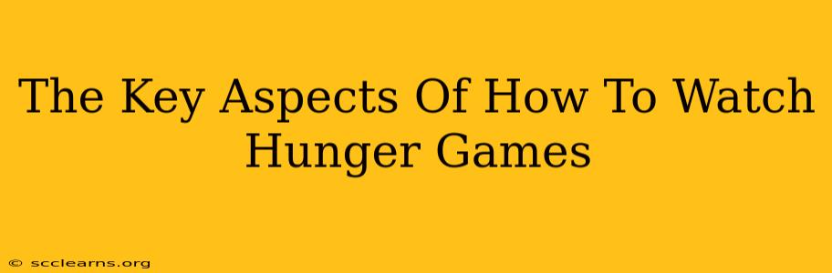 The Key Aspects Of How To Watch Hunger Games