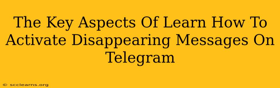 The Key Aspects Of Learn How To Activate Disappearing Messages On Telegram