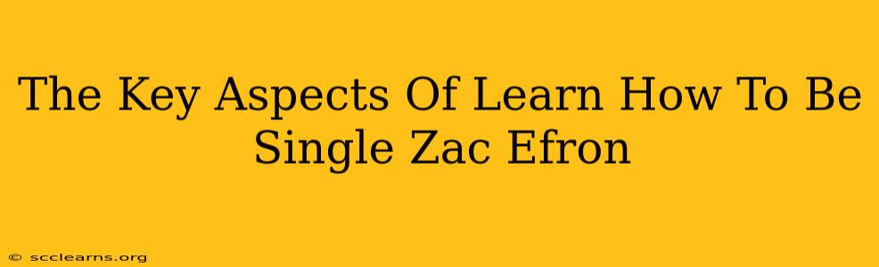 The Key Aspects Of Learn How To Be Single Zac Efron