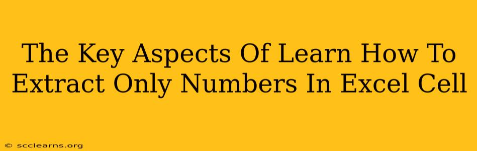 The Key Aspects Of Learn How To Extract Only Numbers In Excel Cell