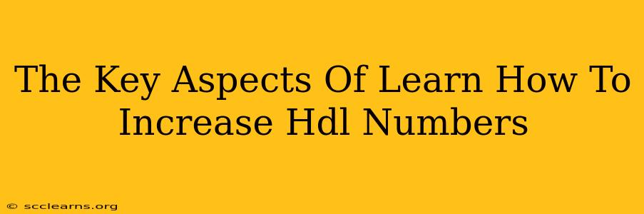 The Key Aspects Of Learn How To Increase Hdl Numbers