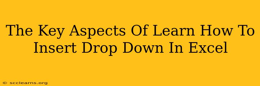 The Key Aspects Of Learn How To Insert Drop Down In Excel