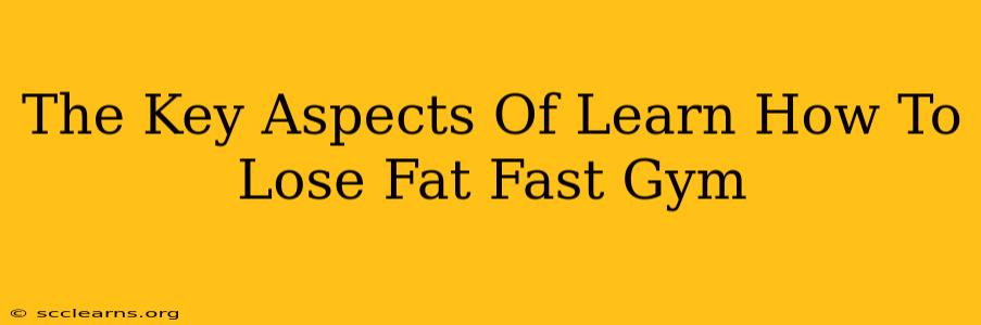 The Key Aspects Of Learn How To Lose Fat Fast Gym