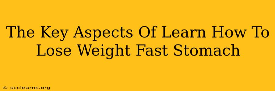 The Key Aspects Of Learn How To Lose Weight Fast Stomach