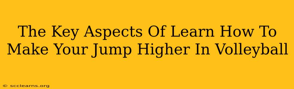 The Key Aspects Of Learn How To Make Your Jump Higher In Volleyball