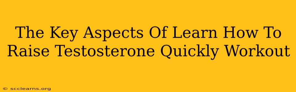 The Key Aspects Of Learn How To Raise Testosterone Quickly Workout