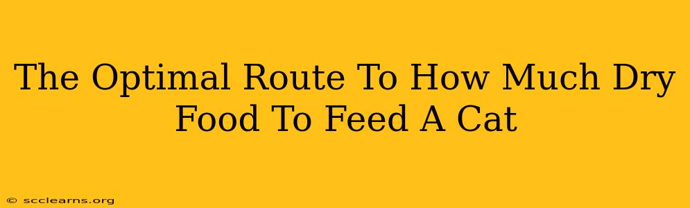 The Optimal Route To How Much Dry Food To Feed A Cat