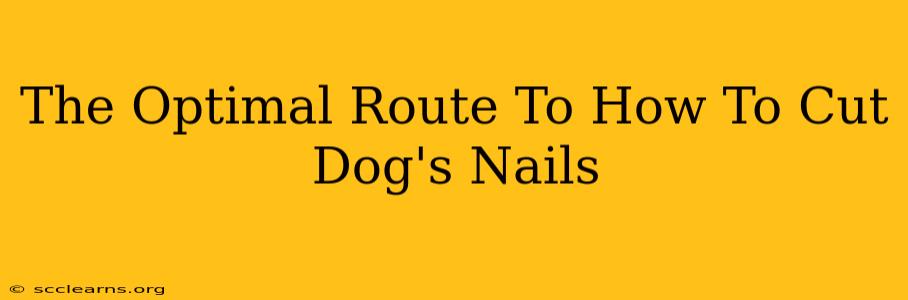 The Optimal Route To How To Cut Dog's Nails