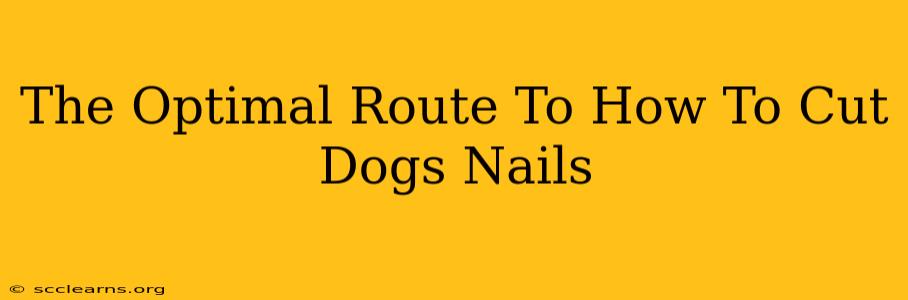 The Optimal Route To How To Cut Dogs Nails