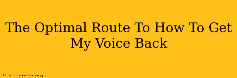 The Optimal Route To How To Get My Voice Back