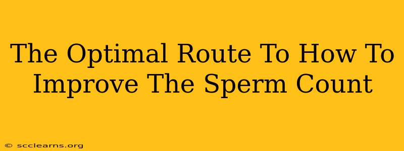 The Optimal Route To How To Improve The Sperm Count