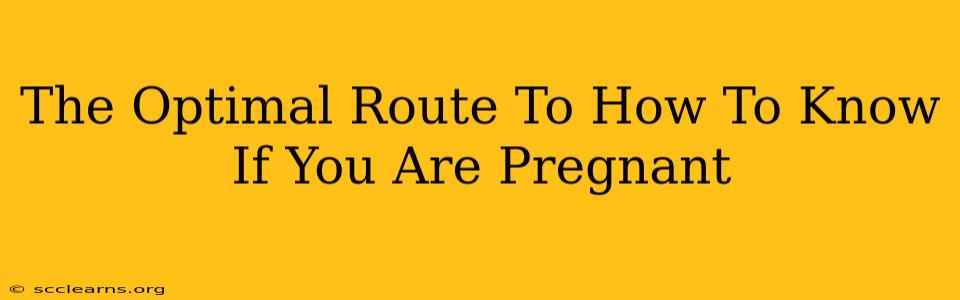 The Optimal Route To How To Know If You Are Pregnant