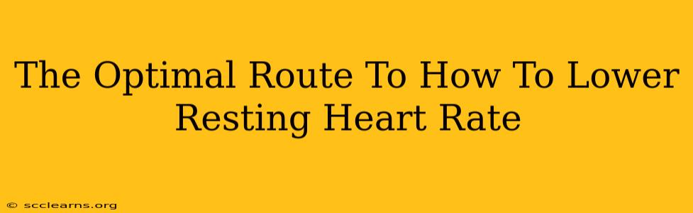 The Optimal Route To How To Lower Resting Heart Rate