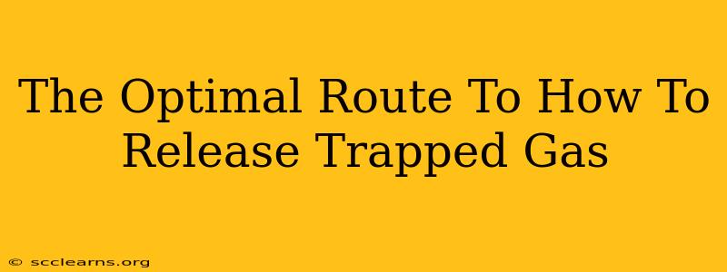 The Optimal Route To How To Release Trapped Gas