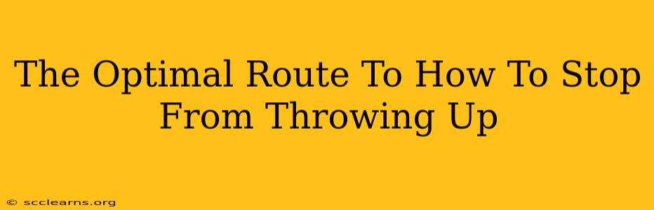 The Optimal Route To How To Stop From Throwing Up