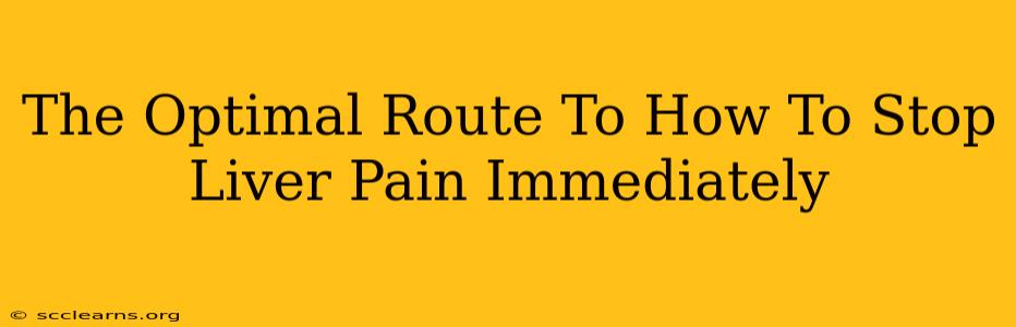 The Optimal Route To How To Stop Liver Pain Immediately