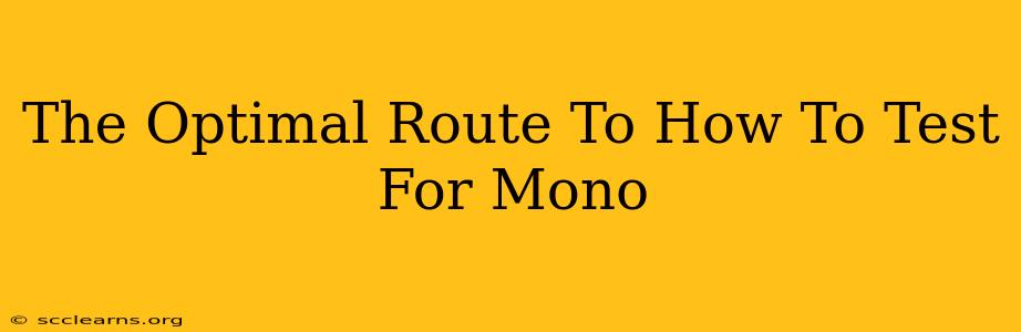 The Optimal Route To How To Test For Mono