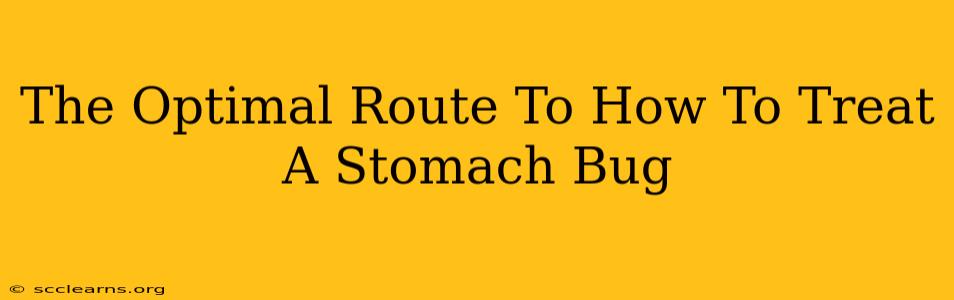 The Optimal Route To How To Treat A Stomach Bug