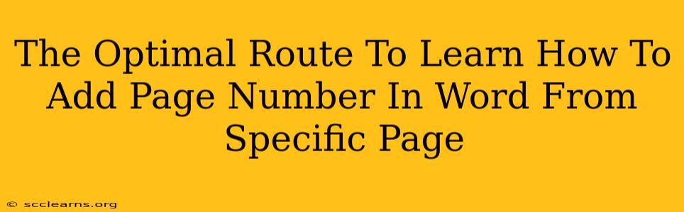 The Optimal Route To Learn How To Add Page Number In Word From Specific Page