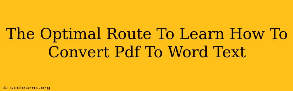 The Optimal Route To Learn How To Convert Pdf To Word Text