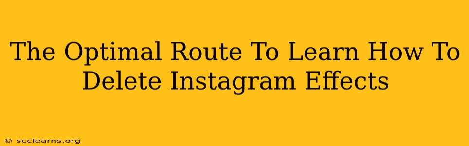 The Optimal Route To Learn How To Delete Instagram Effects