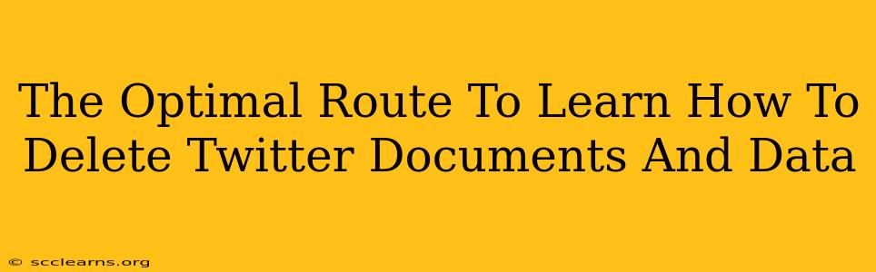 The Optimal Route To Learn How To Delete Twitter Documents And Data