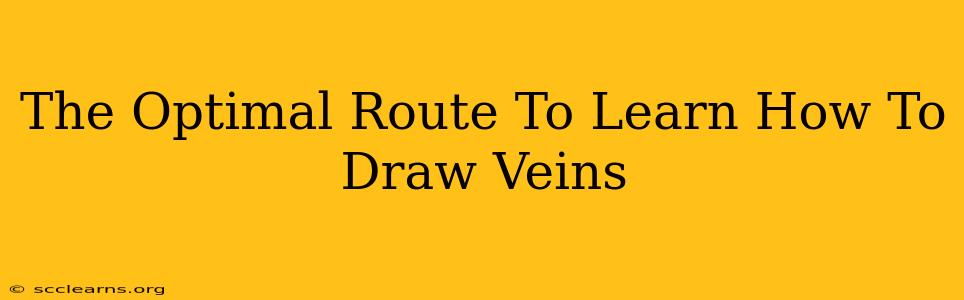 The Optimal Route To Learn How To Draw Veins