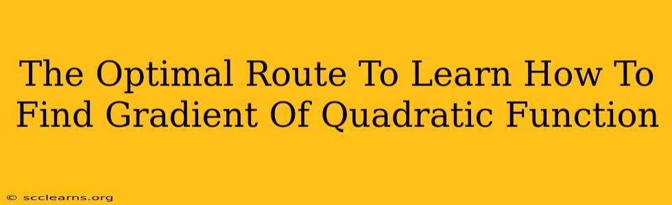 The Optimal Route To Learn How To Find Gradient Of Quadratic Function