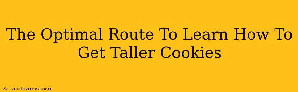 The Optimal Route To Learn How To Get Taller Cookies