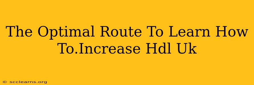 The Optimal Route To Learn How To.Increase Hdl Uk