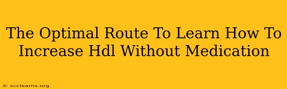 The Optimal Route To Learn How To Increase Hdl Without Medication