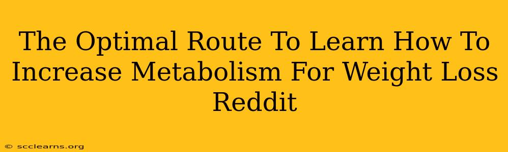 The Optimal Route To Learn How To Increase Metabolism For Weight Loss Reddit