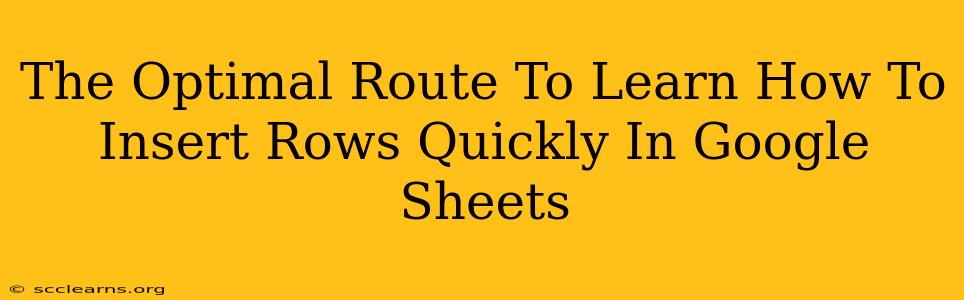 The Optimal Route To Learn How To Insert Rows Quickly In Google Sheets