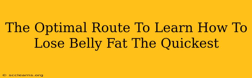 The Optimal Route To Learn How To Lose Belly Fat The Quickest