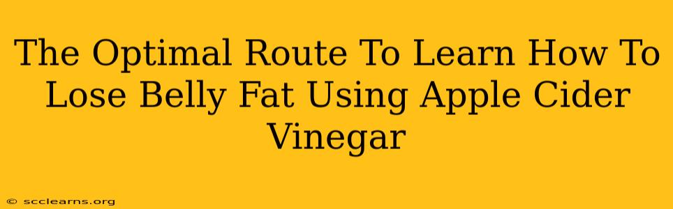 The Optimal Route To Learn How To Lose Belly Fat Using Apple Cider Vinegar