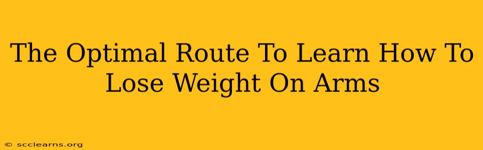 The Optimal Route To Learn How To Lose Weight On Arms