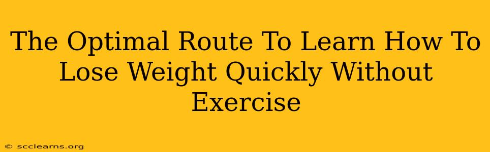 The Optimal Route To Learn How To Lose Weight Quickly Without Exercise