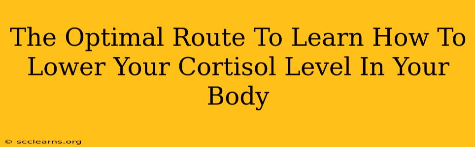 The Optimal Route To Learn How To Lower Your Cortisol Level In Your Body