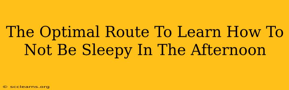 The Optimal Route To Learn How To Not Be Sleepy In The Afternoon