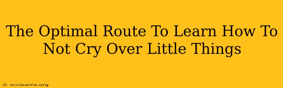 The Optimal Route To Learn How To Not Cry Over Little Things