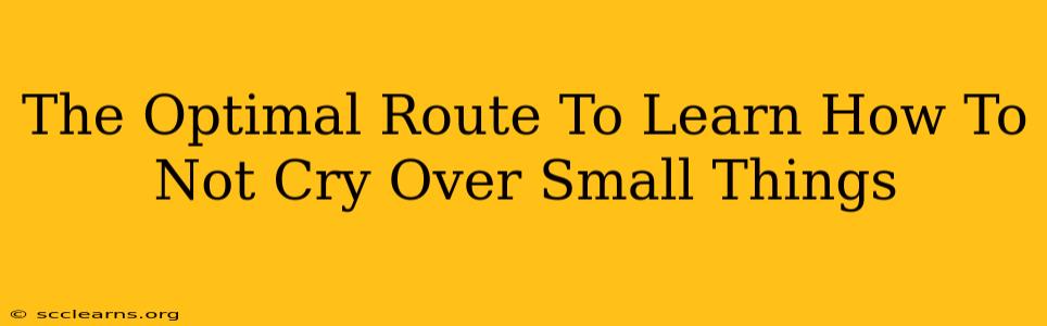 The Optimal Route To Learn How To Not Cry Over Small Things