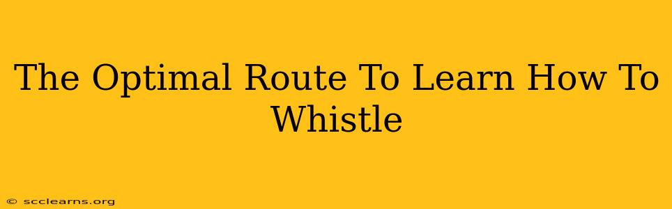 The Optimal Route To Learn How To Whistle