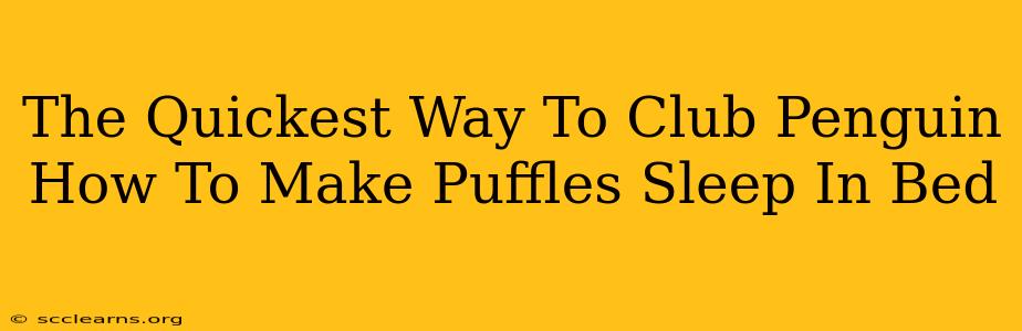 The Quickest Way To Club Penguin How To Make Puffles Sleep In Bed