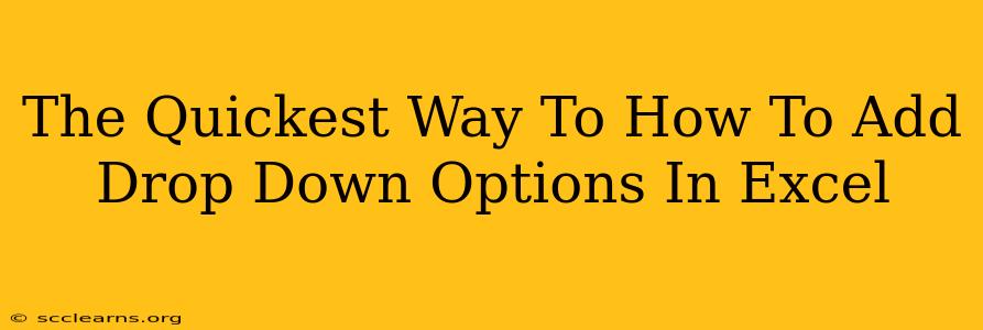 The Quickest Way To How To Add Drop Down Options In Excel