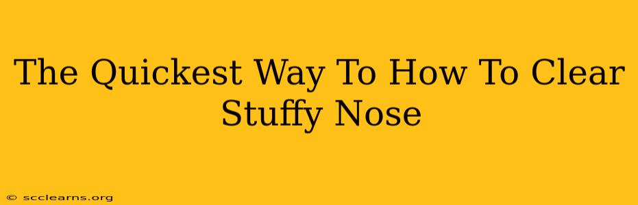 The Quickest Way To How To Clear Stuffy Nose