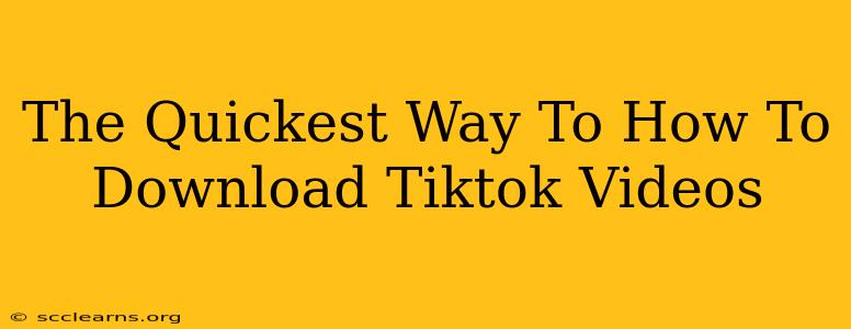 The Quickest Way To How To Download Tiktok Videos