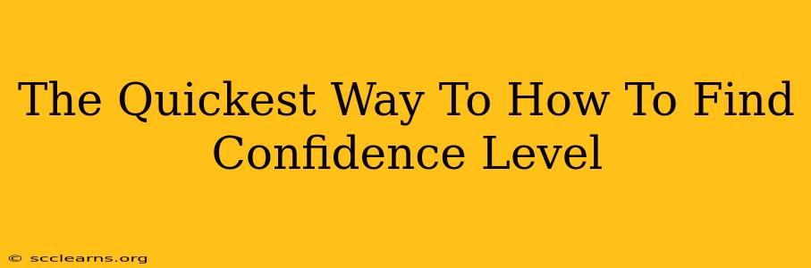 The Quickest Way To How To Find Confidence Level