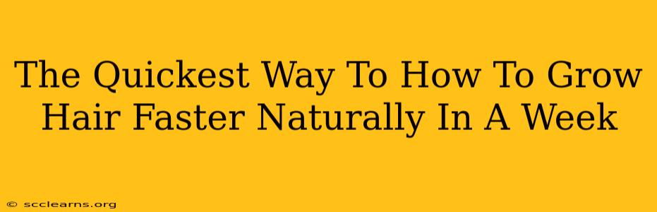 The Quickest Way To How To Grow Hair Faster Naturally In A Week