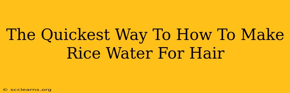 The Quickest Way To How To Make Rice Water For Hair