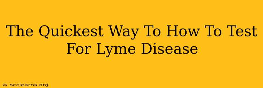 The Quickest Way To How To Test For Lyme Disease